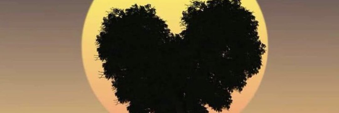 Loren Merchan Martínez banner