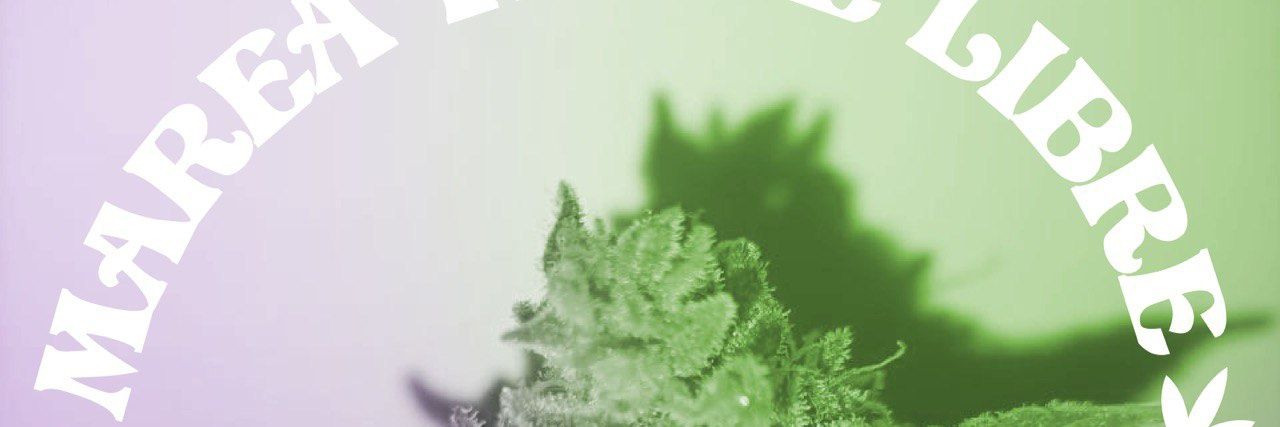 MareaVerdeLibre💚 banner