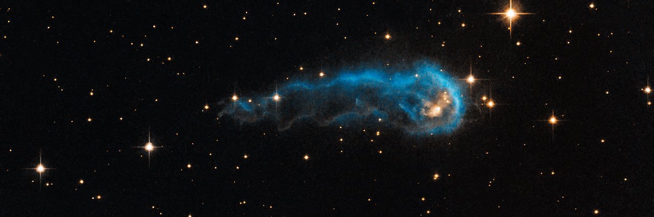 Marissa muore banner