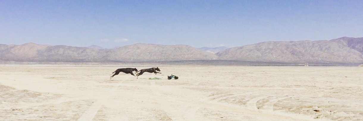 Maggie Howell banner