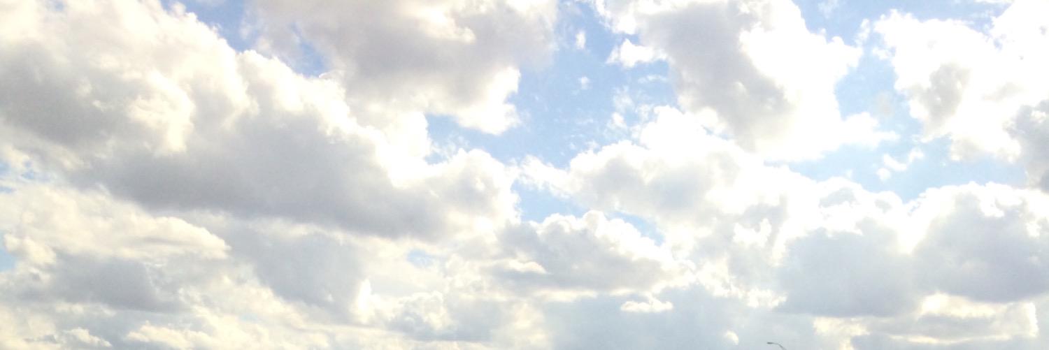 Frankie ♈️🌈🦄 💙💚💛🧡❤️💜🖤 banner