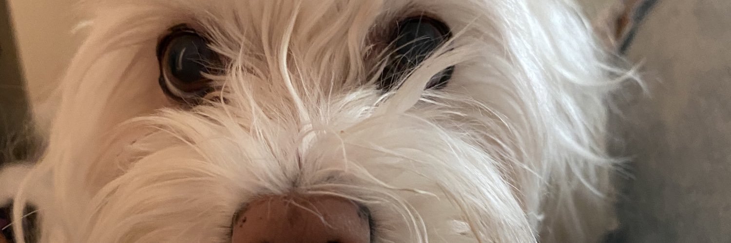 LGmezz's profile banner image