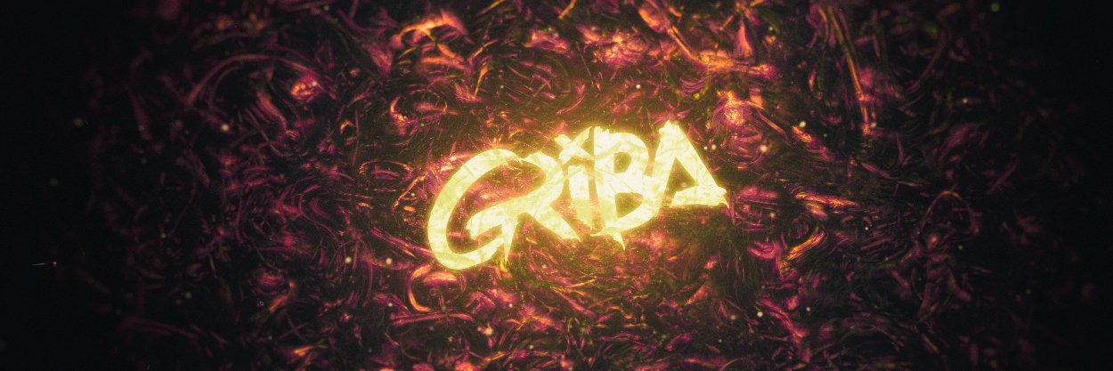 djgriba's profile banner image