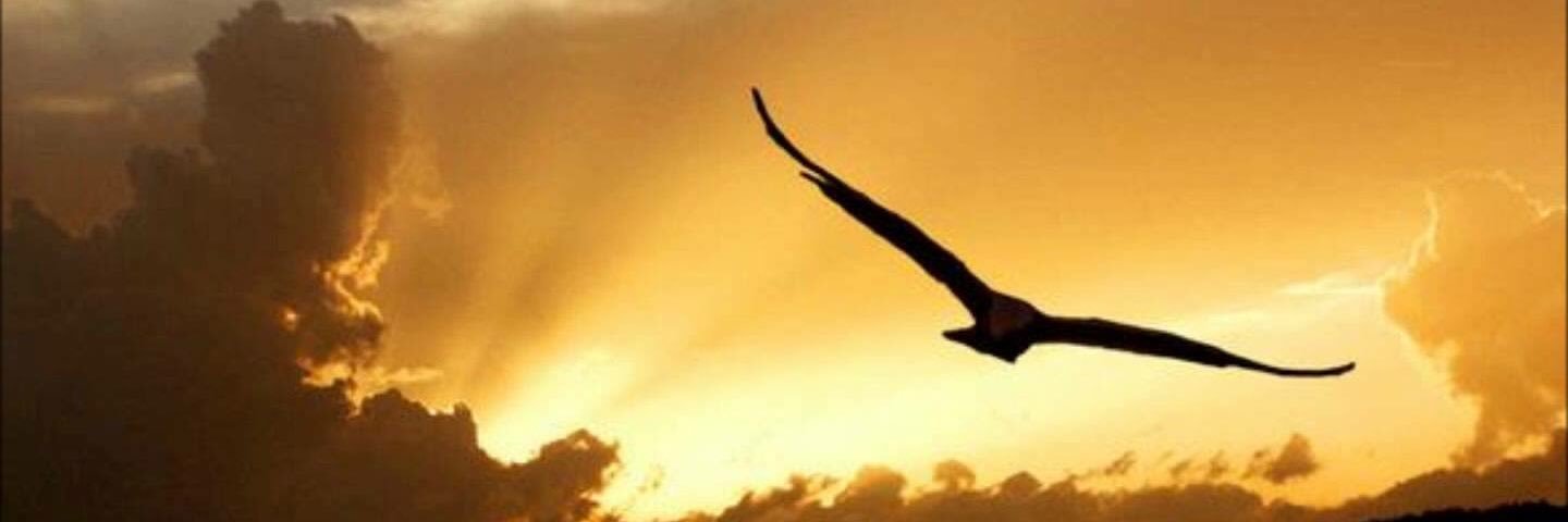 Maraki6Maria's profile banner image