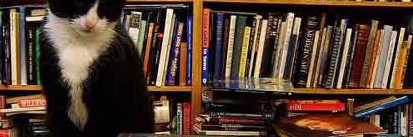 StephenCoyle19 Profile Banner