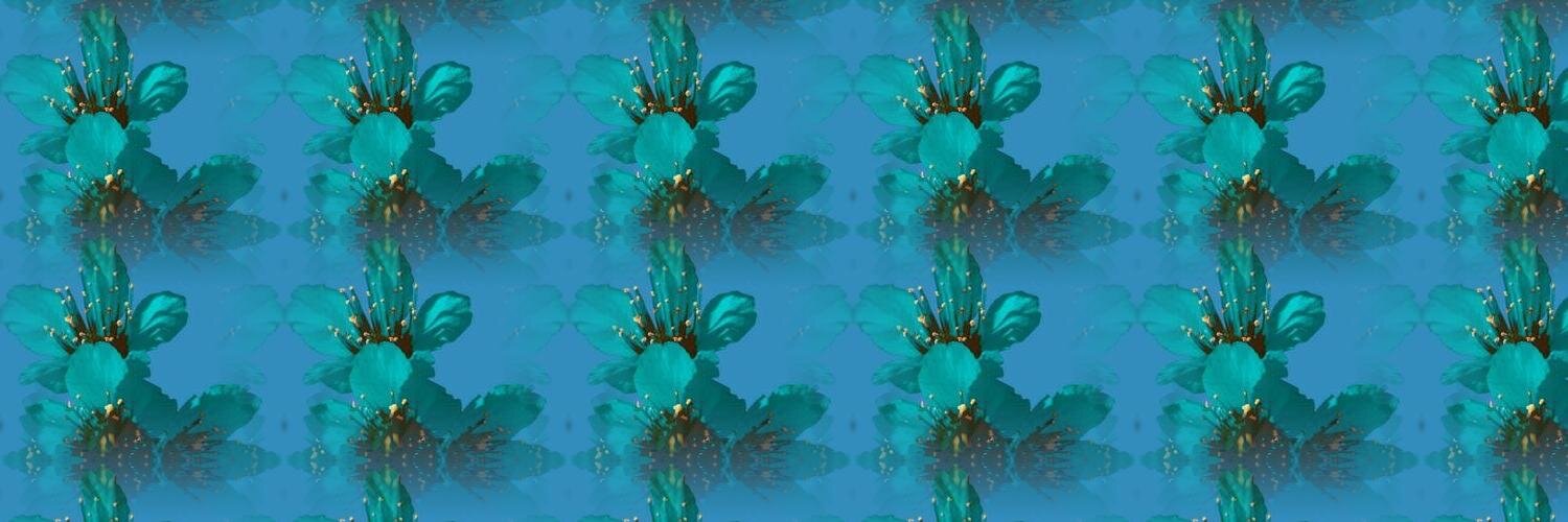 AmandaNMarsh's profile banner image