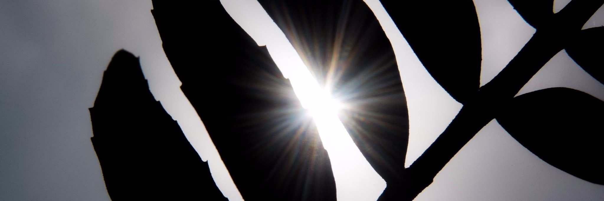 milo051's profile banner image