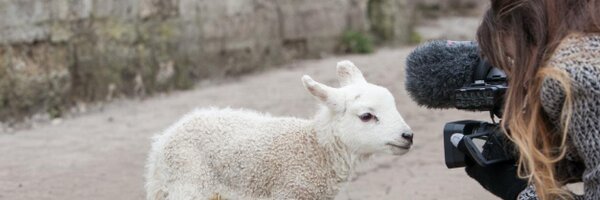 VJ_Jen Profile Banner