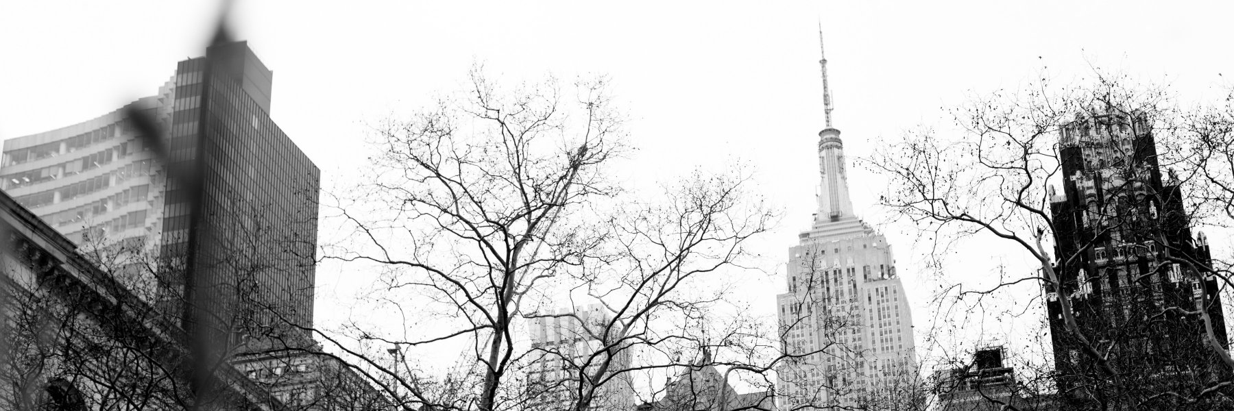severinepicquet's profile banner image