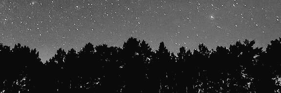 thieflights's profile banner image