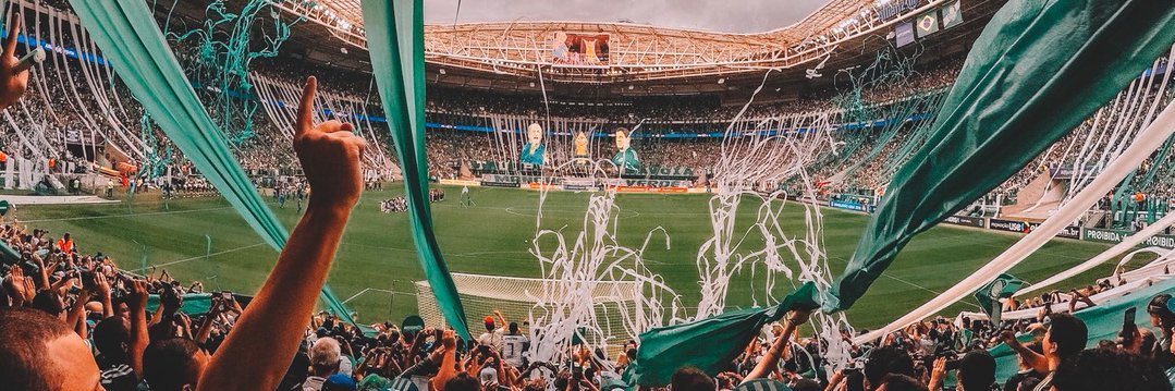 ffmianti's profile banner image