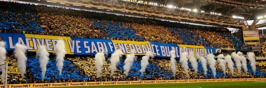 FENERLİ💛💙 banner