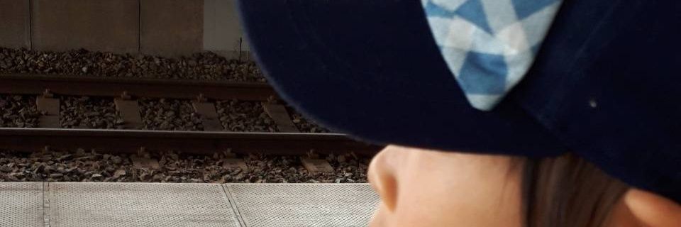 tamagonoki's profile banner image