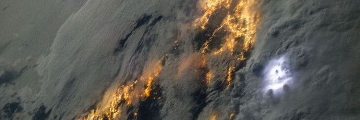 The Man from Future banner