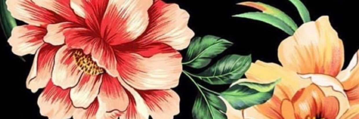 claranovaes_'s profile banner image