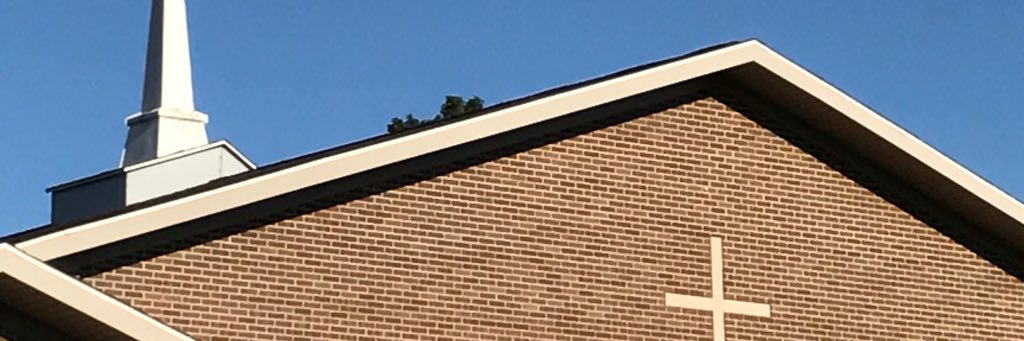 Robert Pophal banner