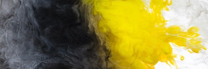 onca_pintuda_'s profile banner image