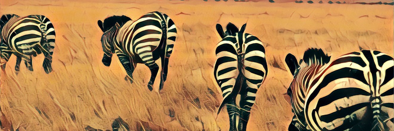 BakerSafari's profile banner image