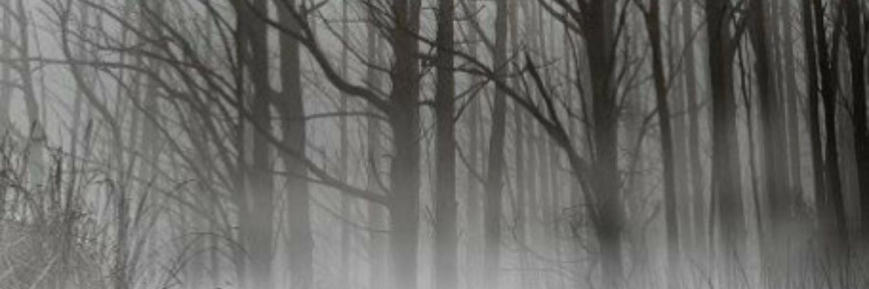 waas_1's profile banner image