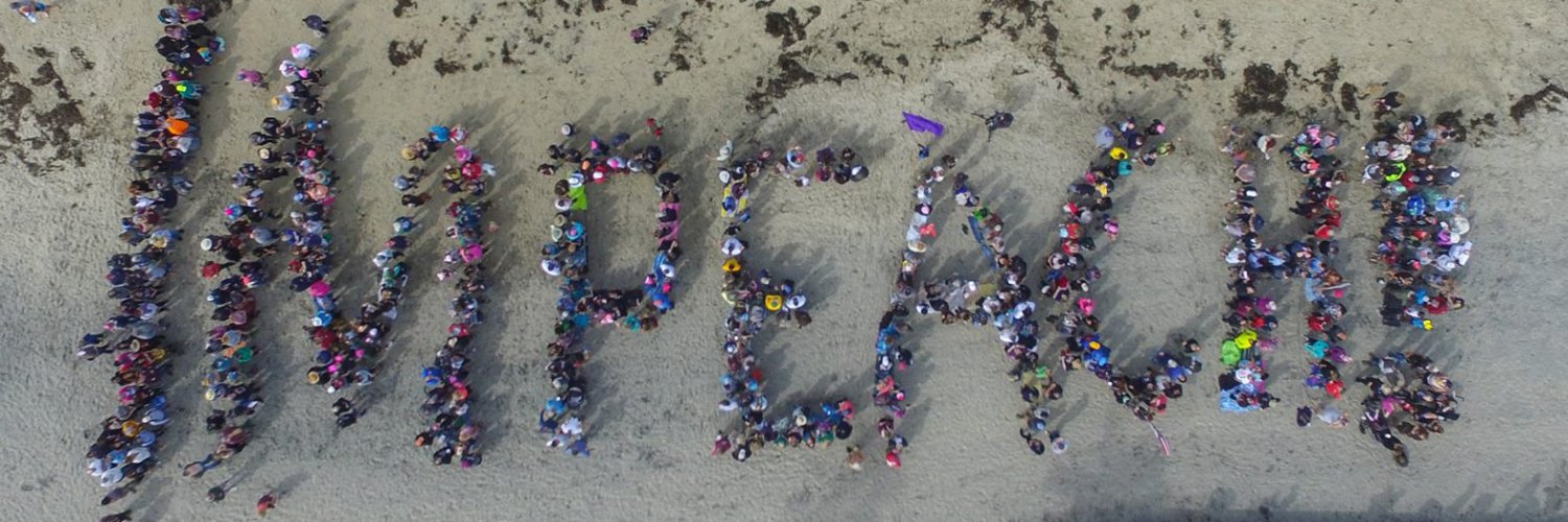 In Related News-🇺🇲🇺🇦 banner