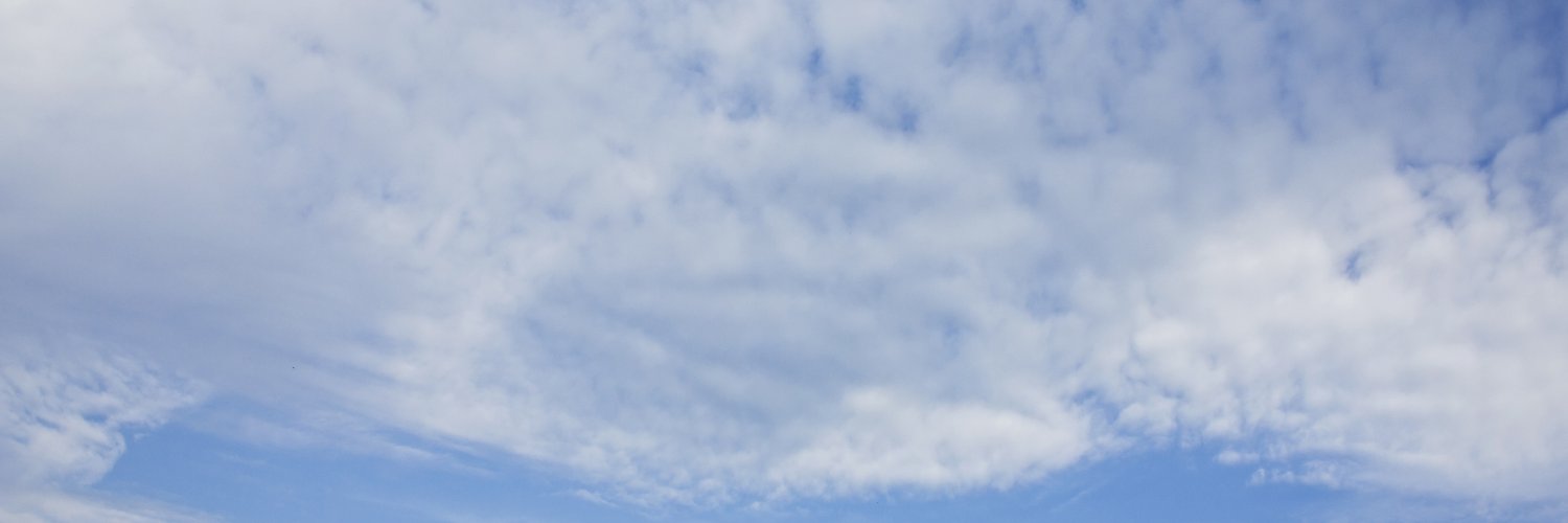蓝莓 banner