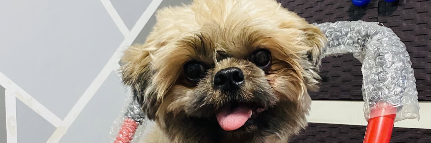 PsgnRyv's profile banner image