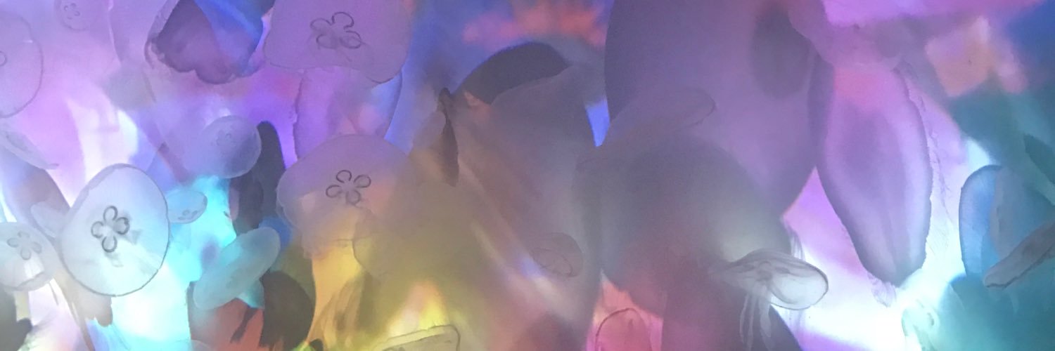doncham2525's profile banner image