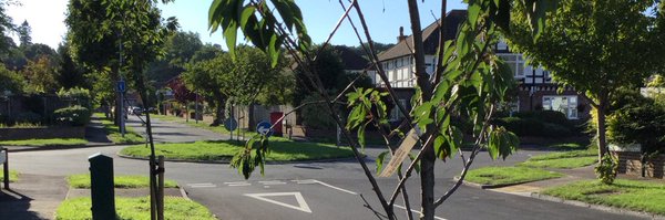 CllrRowenaBass Profile Banner