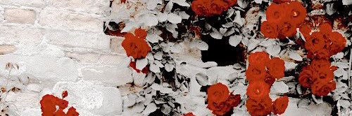 firegold_'s profile banner image
