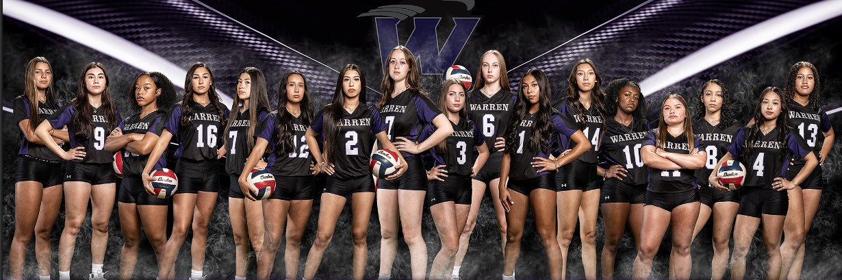 Warren Volleyball banner