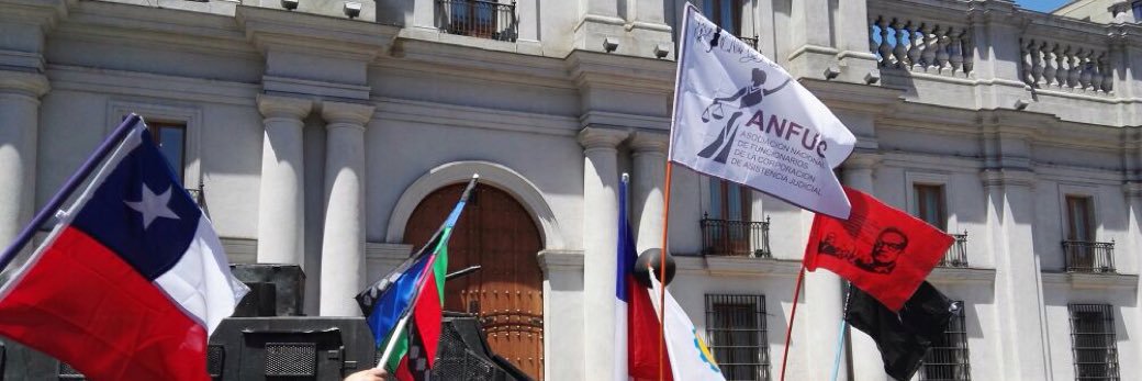 Claudia Fachinetti banner