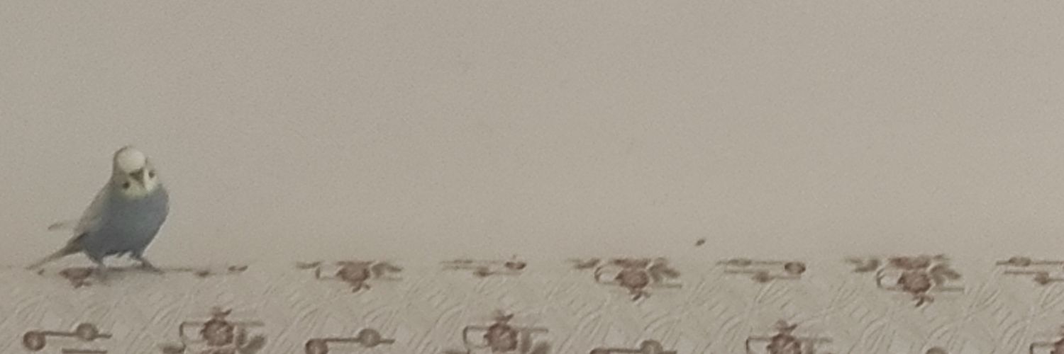cumbaskani's profile banner image