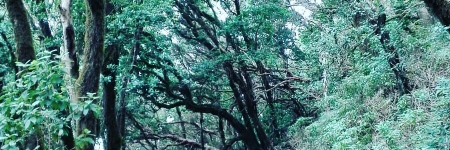 JaviDB95's profile banner image