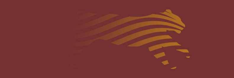 michelle bartonico (she/her) banner