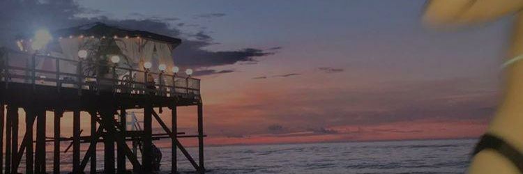 AnneApdian's profile banner image
