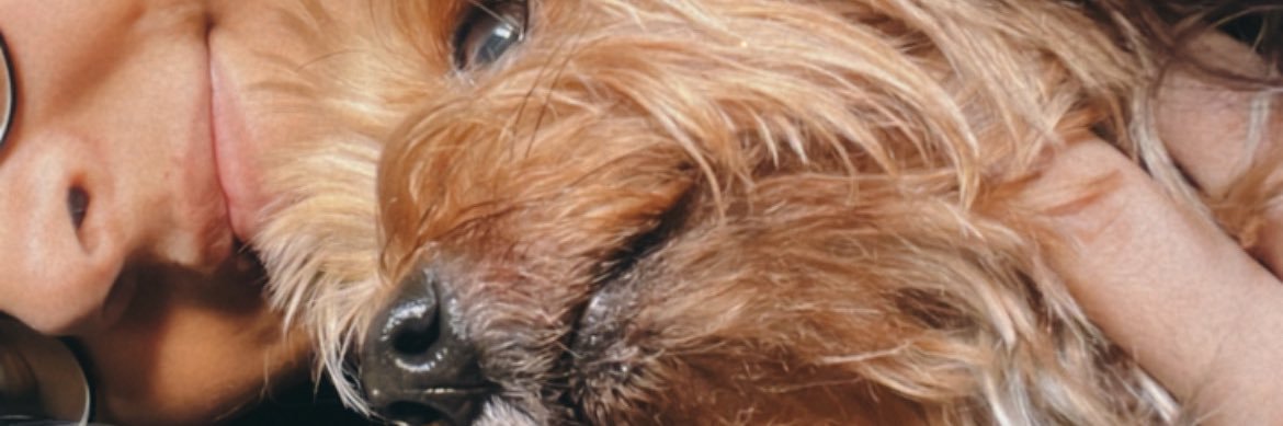 luhquinti's profile banner image