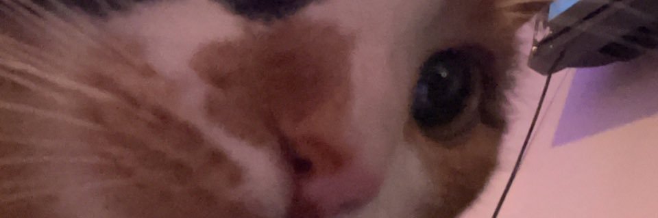 k1ttywho's profile banner image