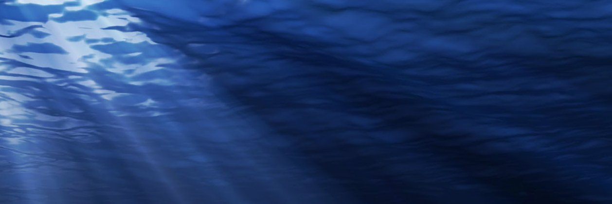 Smiley_9966's profile banner image