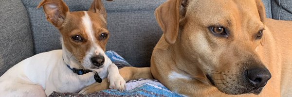 jessicaschulb Profile Banner
