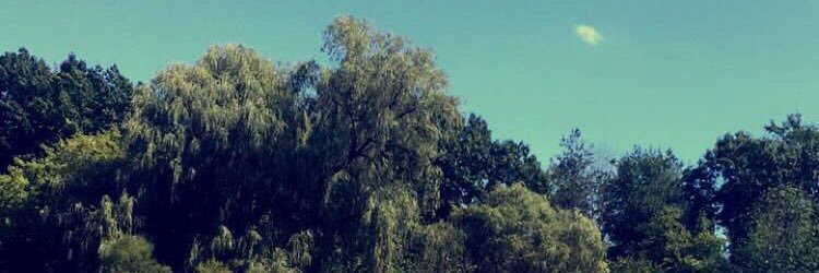 _lauren_kb's profile banner image