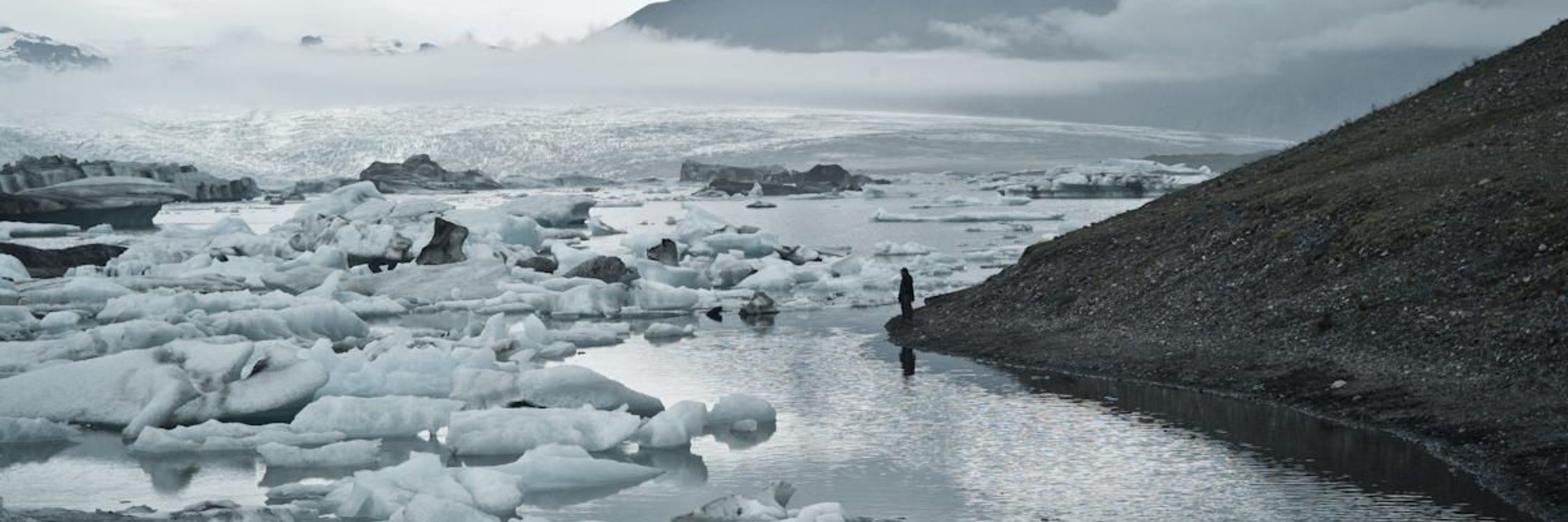 Yan | swan.com banner