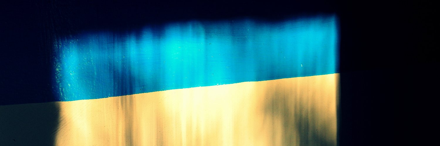 Alina_ALG2's profile banner image