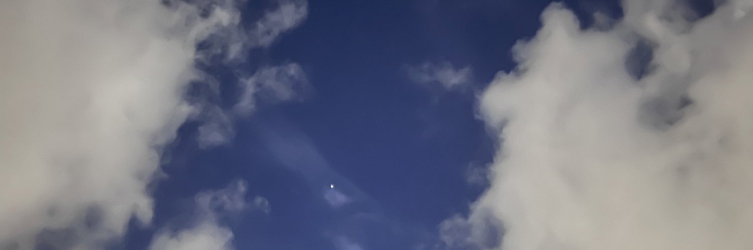 florathexploras's profile banner image