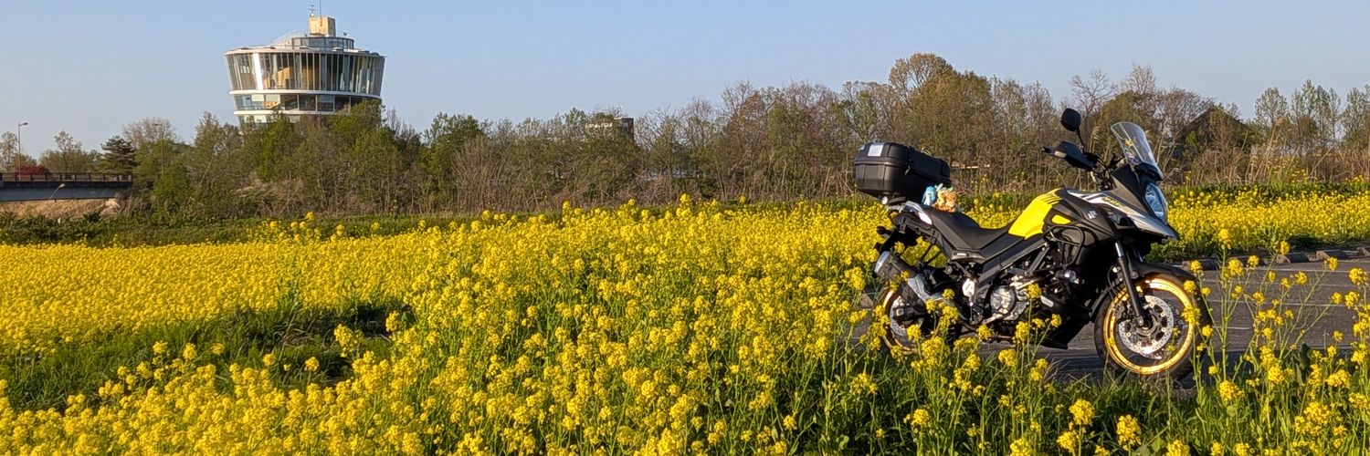 EVstrom2891's profile banner image