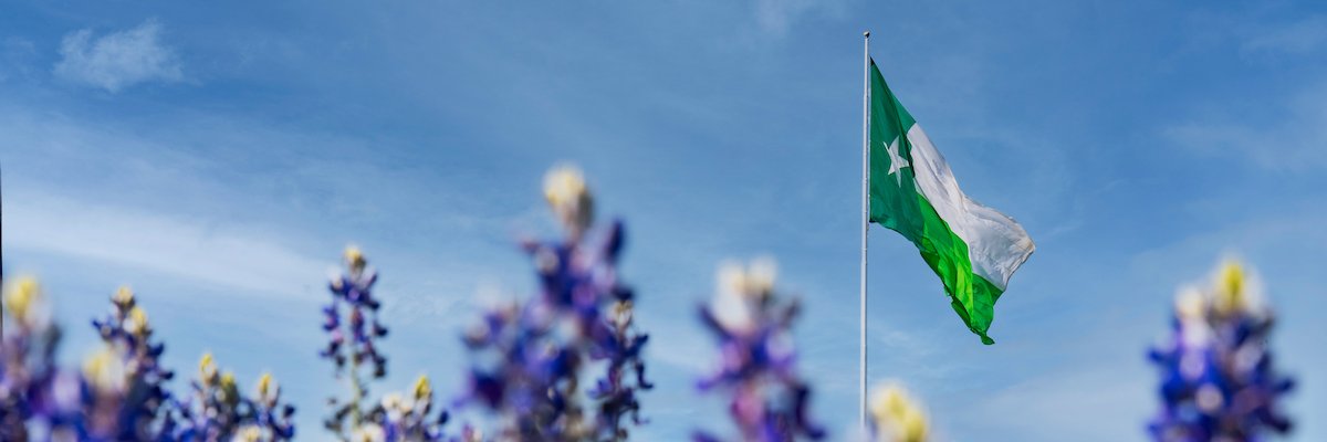 clearUNT's profile banner image