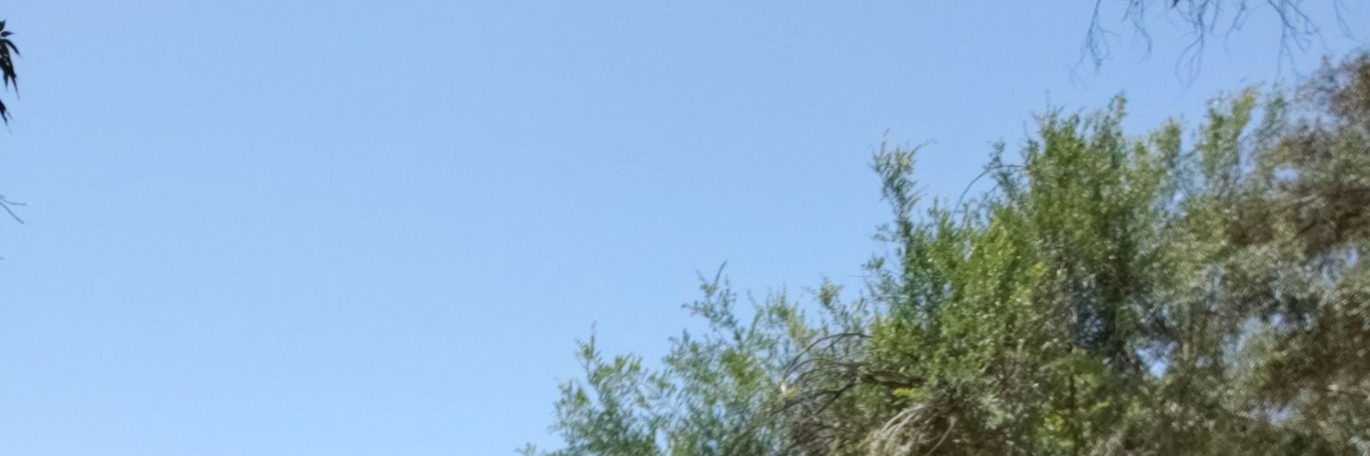 Al banner