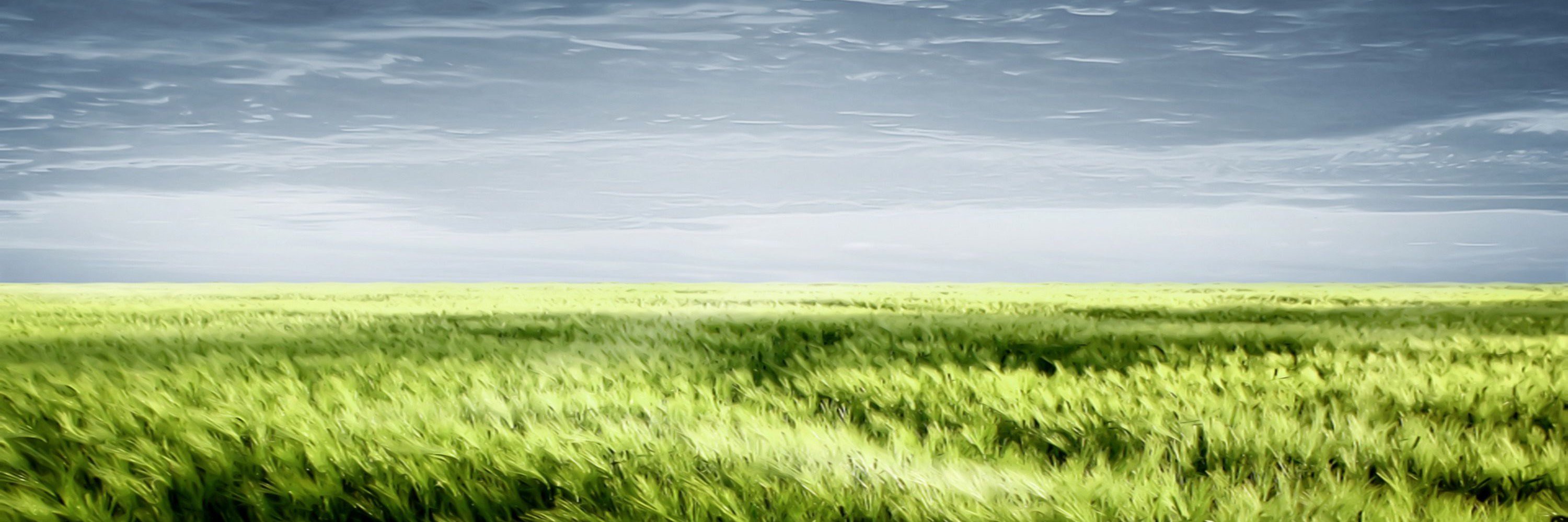 myexpert_me's profile banner image