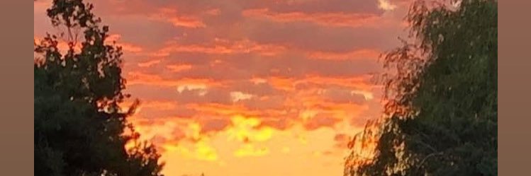 DarrenFink's profile banner image