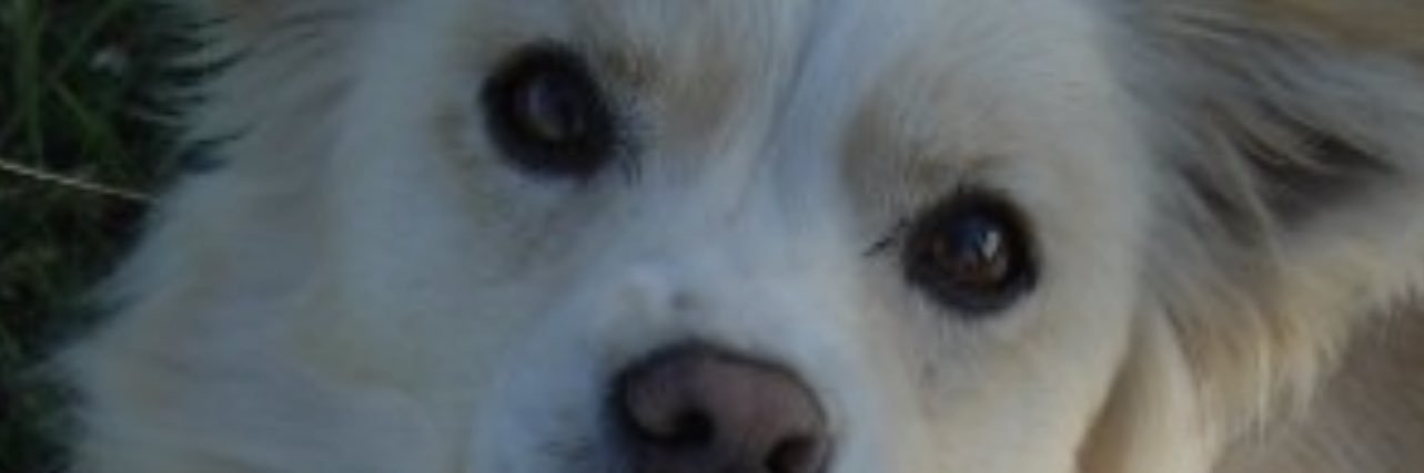 peakdeniz's profile banner image