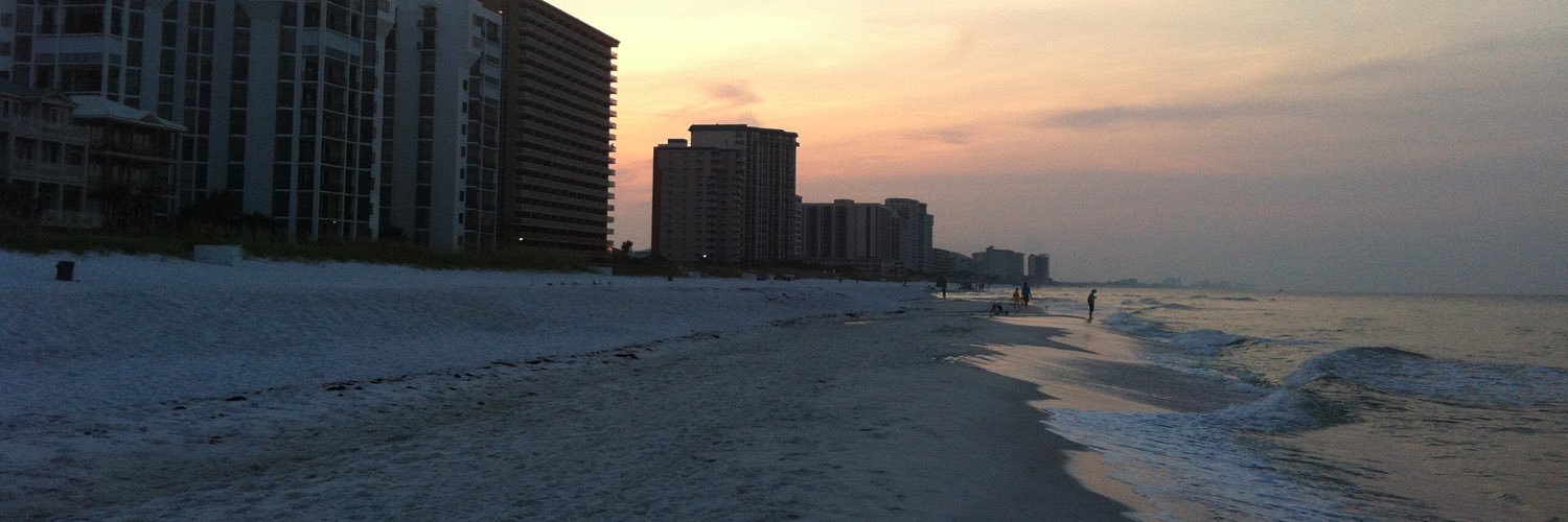 SydneyLeaDavis's profile banner image